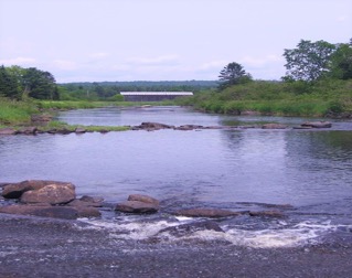 La vue du pont de Brenton depuis la zone du parc communautaire en aval. Le pont est au loin, avec la rivière entre lui et le photographe.