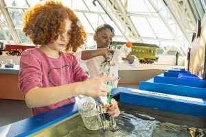 TDC water-table-2